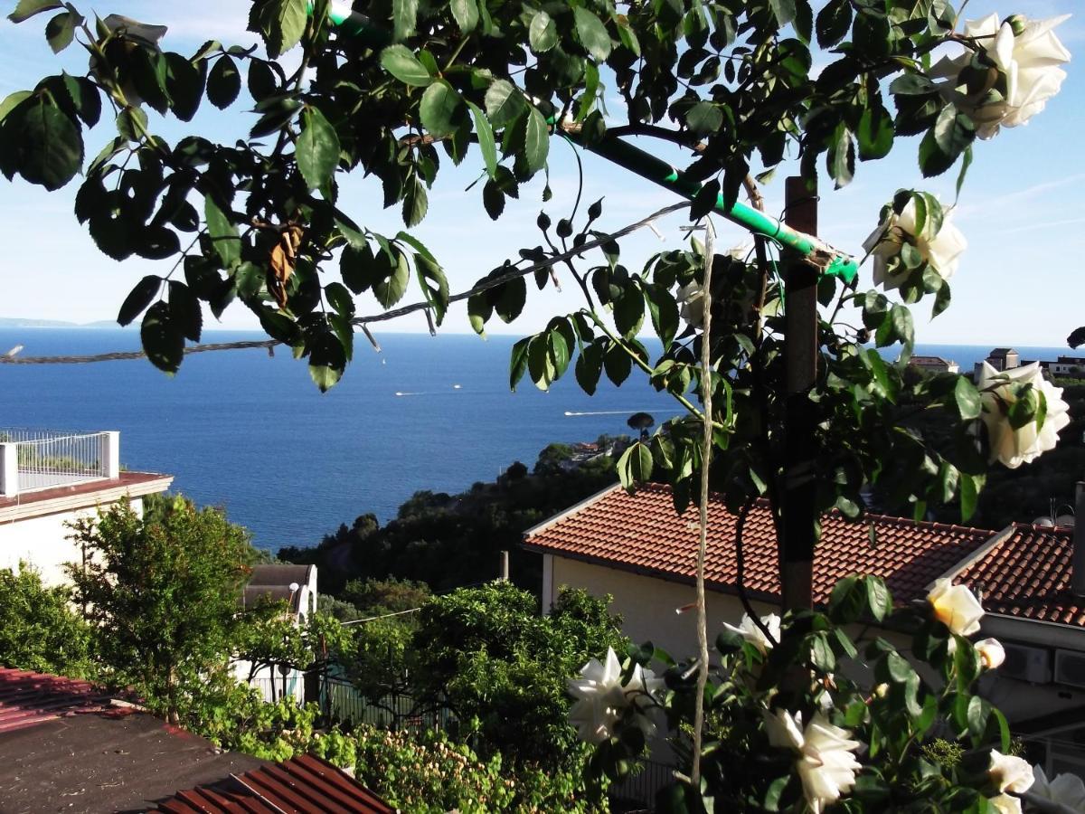 Le Mimose Villa Vietri sul Mare Exterior photo