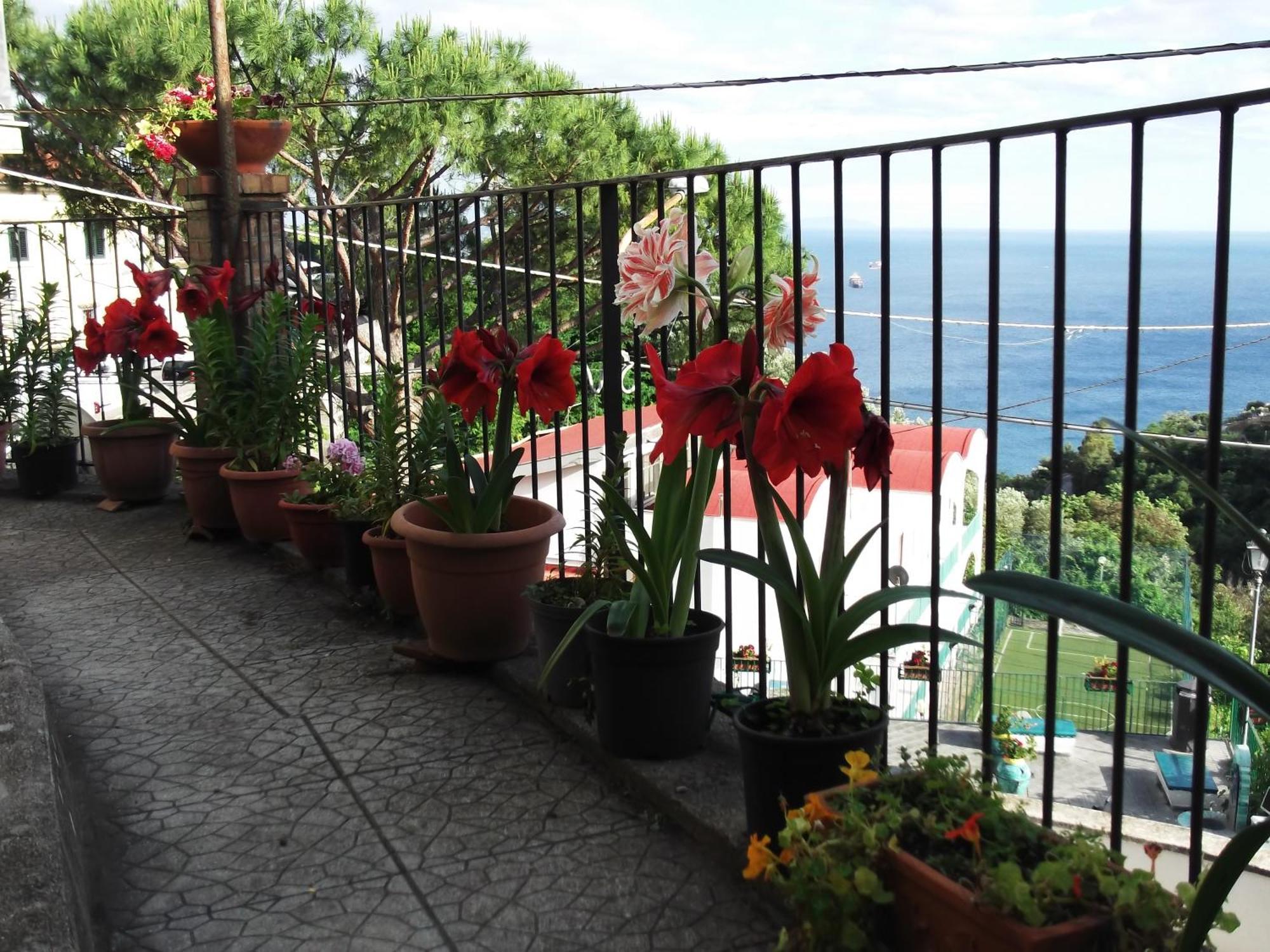 Le Mimose Villa Vietri sul Mare Exterior photo