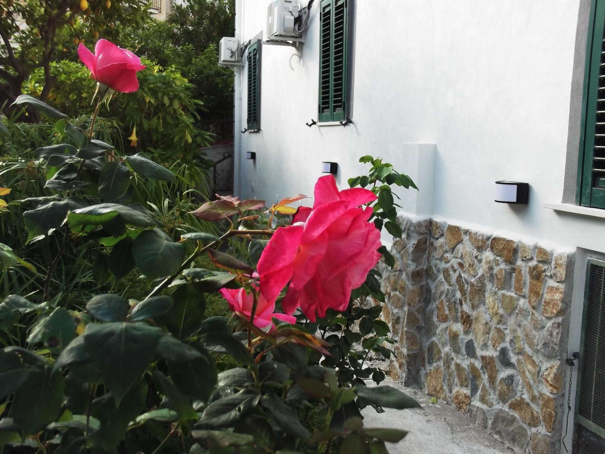 Le Mimose Villa Vietri sul Mare Exterior photo