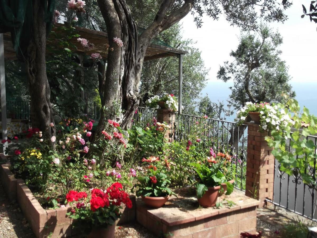 Le Mimose Villa Vietri sul Mare Exterior photo