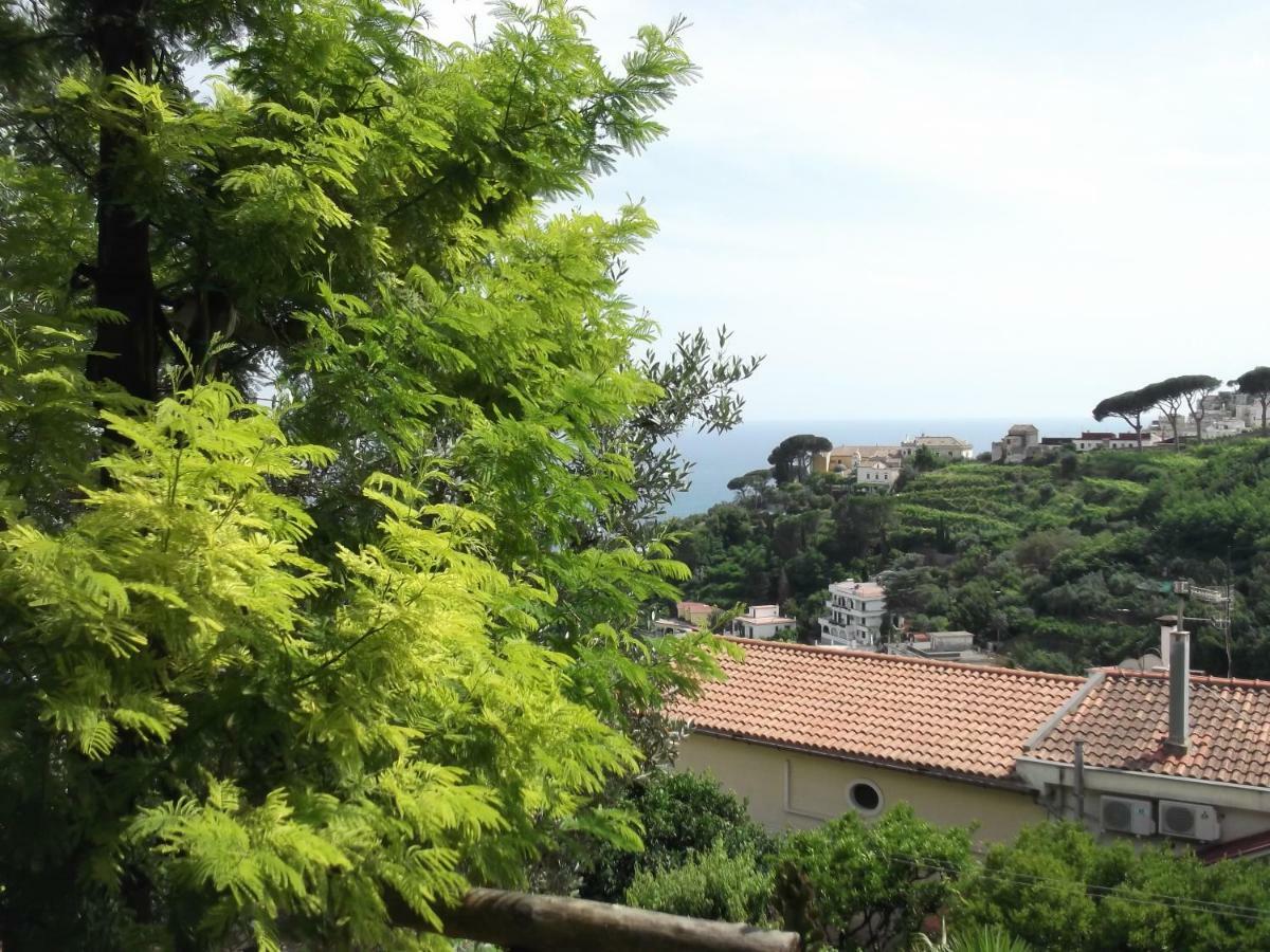 Le Mimose Villa Vietri sul Mare Exterior photo